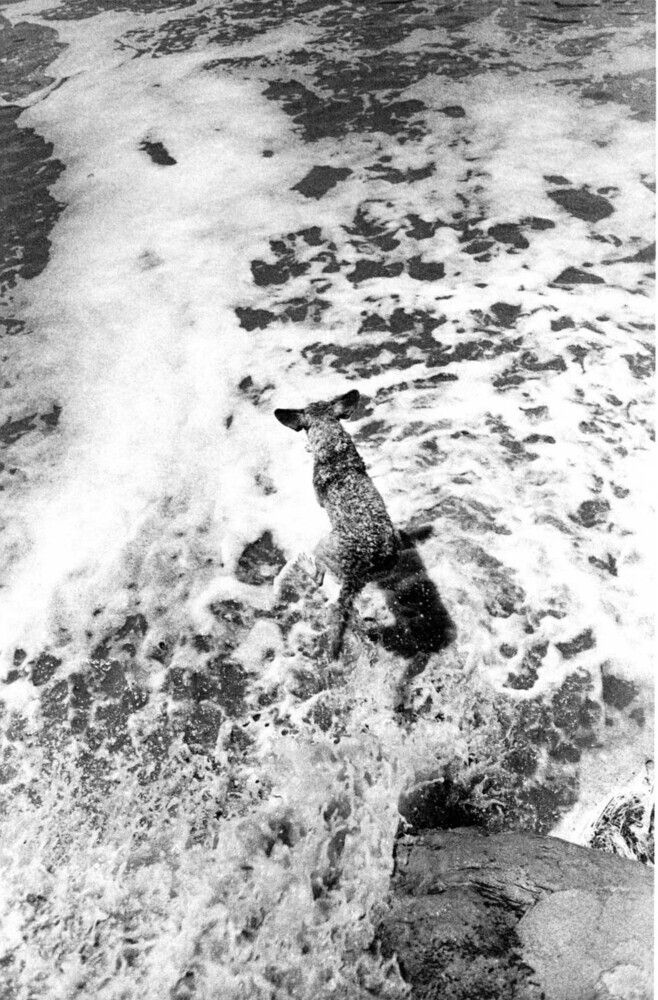 Zonder titel (uit de serie: Teenage lust)